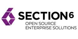 Section 6 logo