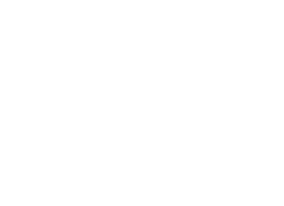 Wordmark1 white RGB