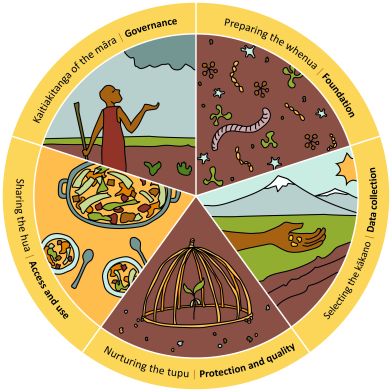 An illustration of a wheel displaying kaitiakitanga of the māra governance, preparing the whenua foundation, selecting the kākano data collection, nuturing the tupu protection and quality, sharing the hua access and use