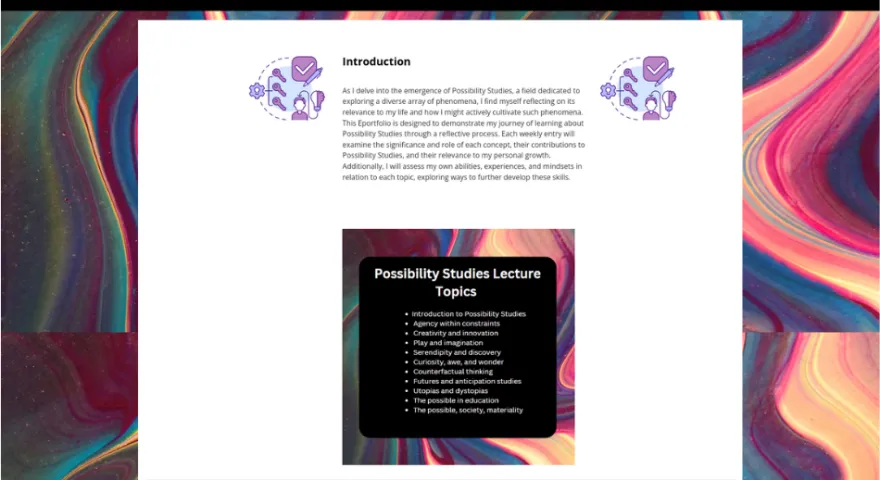 Loop reflect example portfolio
