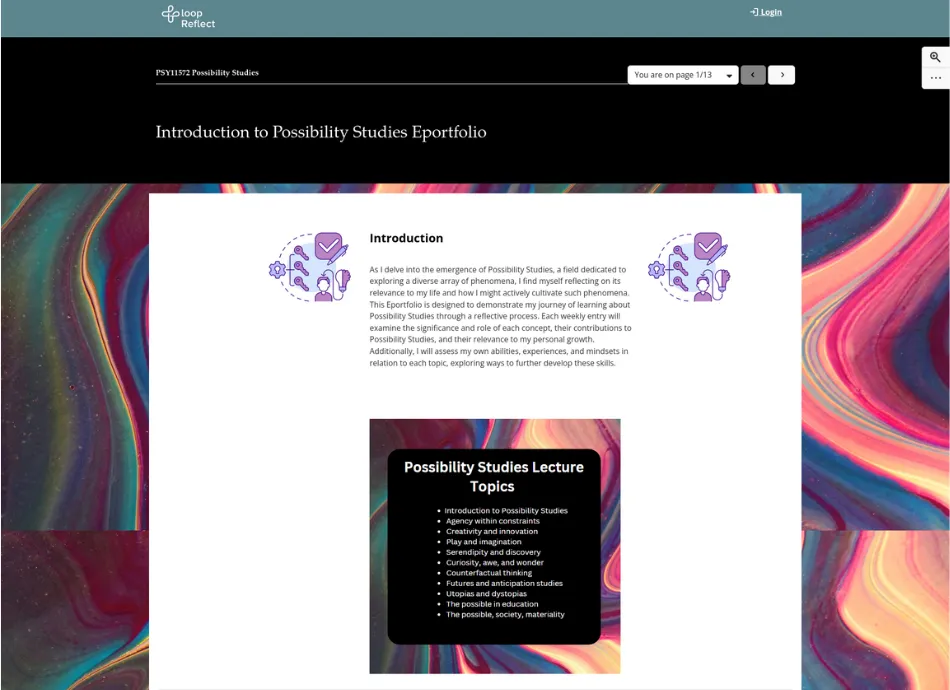 Loop reflect example portfolio