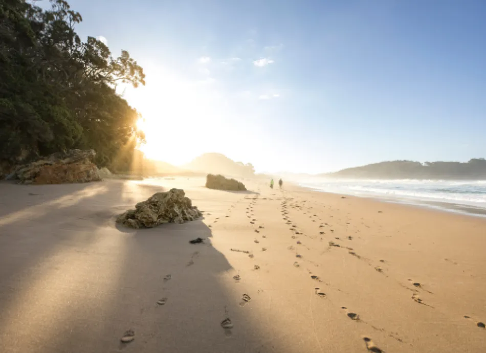 Hot Water Beach, The Coromandel on a sunny day. There's footprints down the golden beach