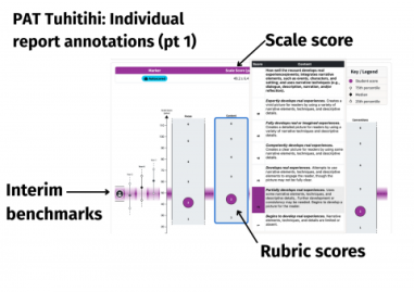 Interim Year Level Benchmarks Students can be at the national median, or above below the 25th and 75th percentile for their year group
