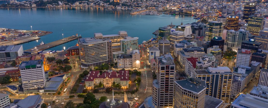 Overlooking Wellington CBD and harbour