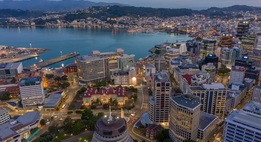 Overlooking Wellington CBD and harbour