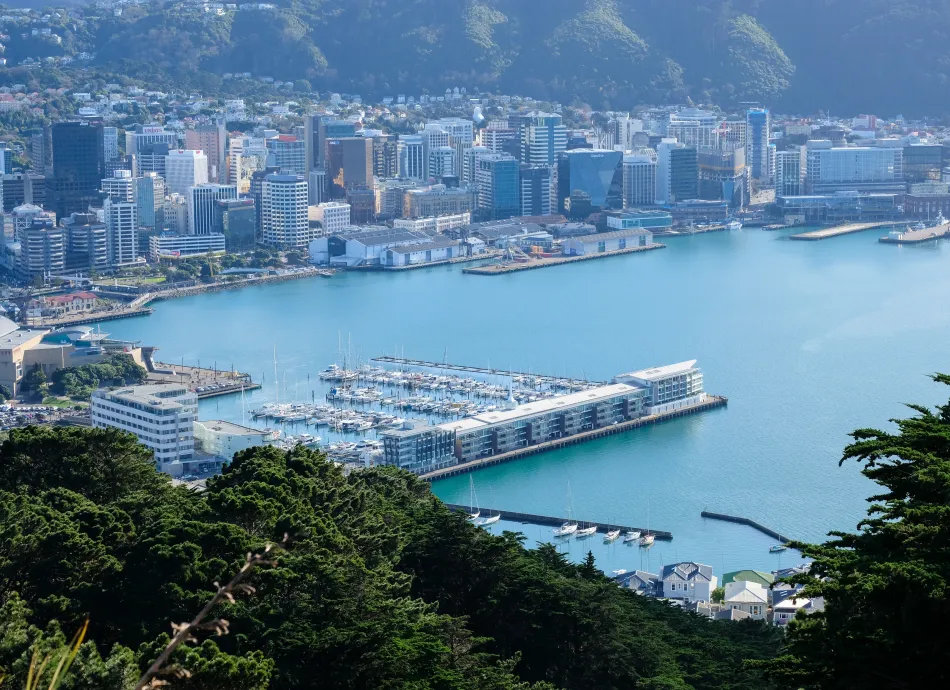 Aerial view of Wellington city, harbour, waterfront and central business district office tower blocks from Mt Vic lookout in Wellington, New Zealand Aotearoa
