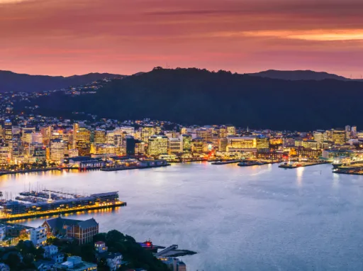 Wellington city landscape aerial view