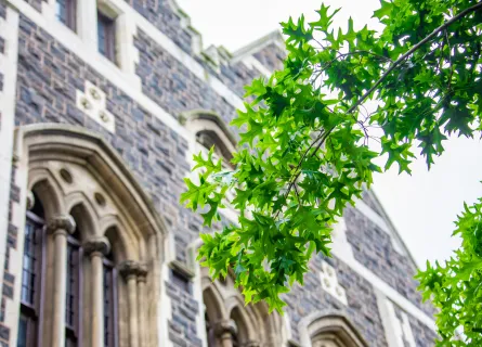 the bokeh view of campus a public research collegiate university based in Dunedin, NZ