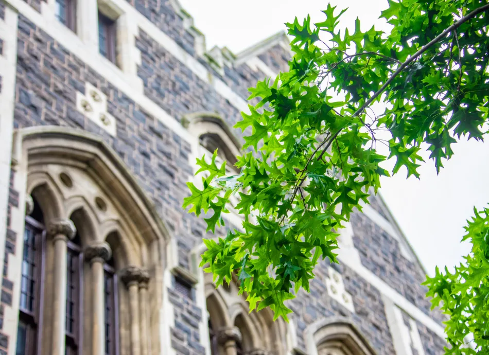 the bokeh view of campus a public research collegiate university based in Dunedin, NZ