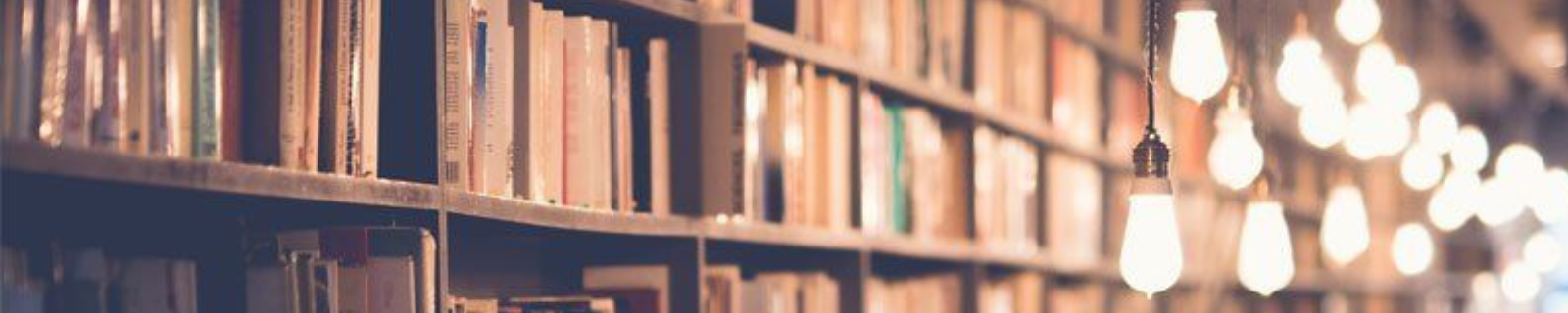 Books stacked on aq wooden bookshelf and a collection of dangling lightbulbs